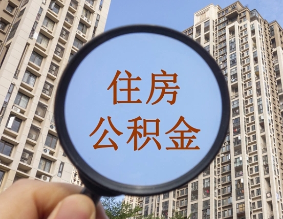 乐山退休后查不到公积金明细了吗（退休后公积金查询不到原因）
